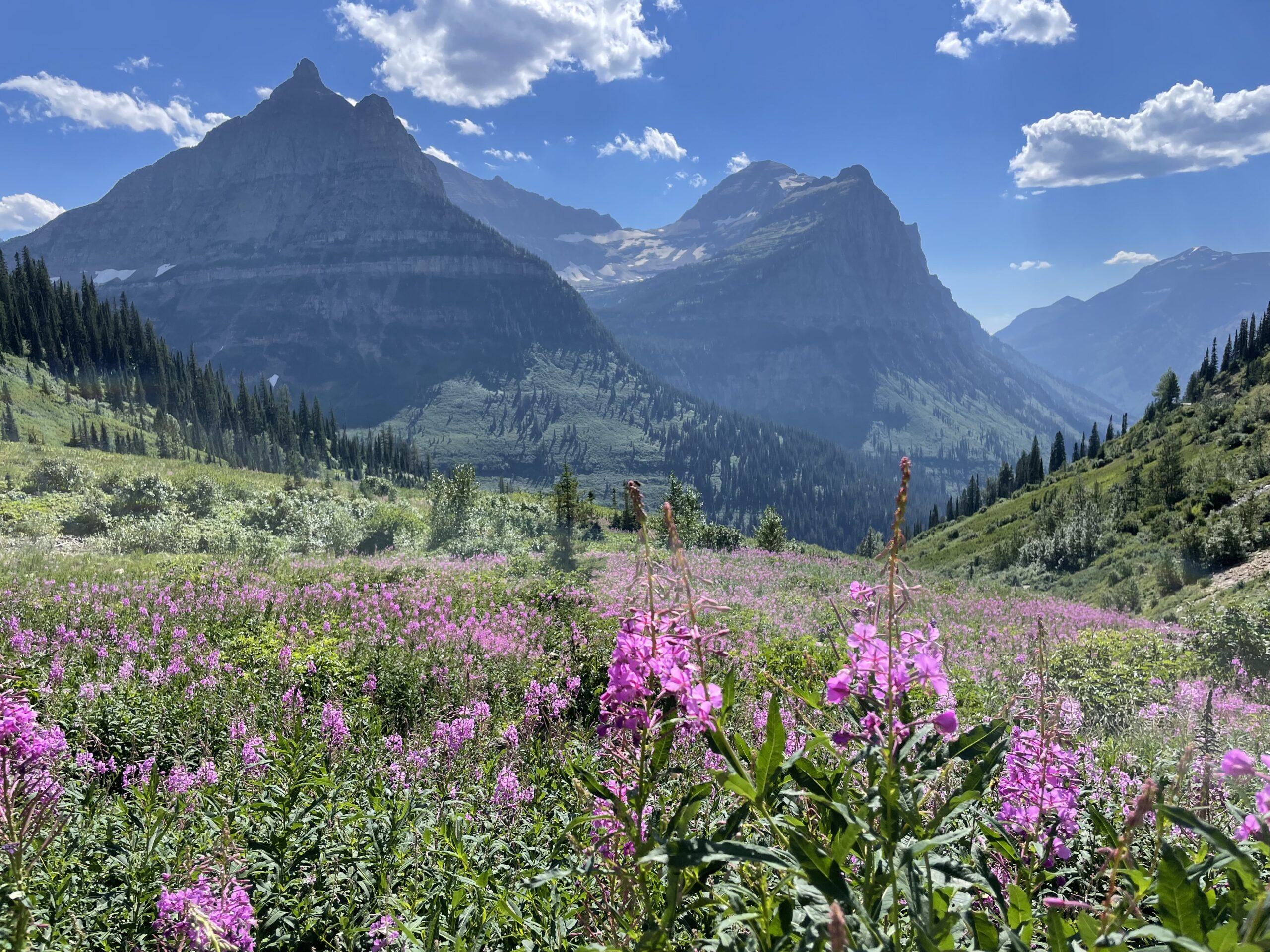 6 Must-See Places & Hikes in Glacier National Park